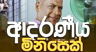 adaraniya minisek teledrama